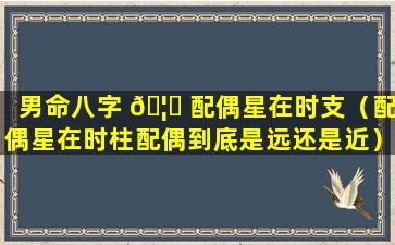 男命八字 🦈 配偶星在时支（配偶星在时柱配偶到底是远还是近）